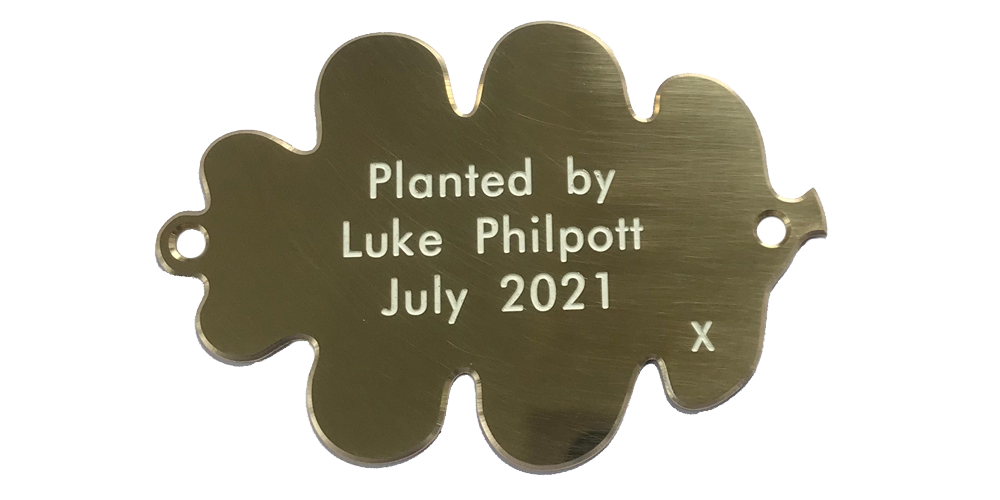 Oak leaf brass plaque from Finch Tree UK