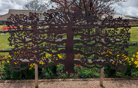 Espalier Fruit Tree in copper by Finch Tree UK